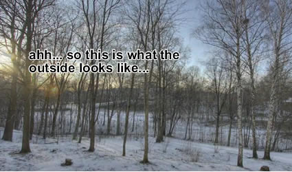 nature nature One Year in Forty Seconds! Man takes a Gagillion Pictures for 1 Video!?!