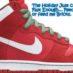 nike-cover nike cover 150x150 New NIKE SB 2008 Holiday is Rounding up Some nice Merchandise Release!