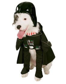 Benji Vader Benji Vader