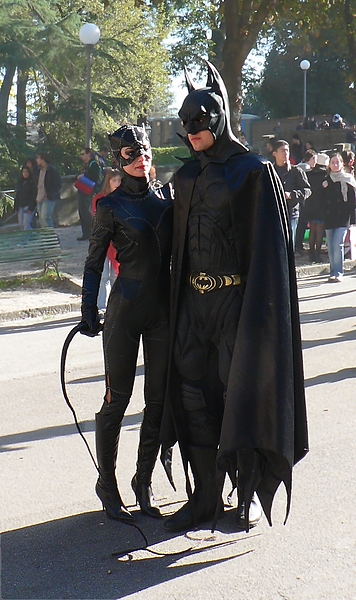 Catwoman And Batman. Batman w/ Complementary