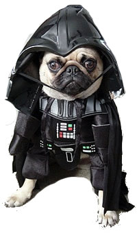 darth-pug11 darth-pug11 Top 10 Creative Star Wars Darth Vader Cosplays! I Want Something to Blow Me a Way Like the Death Star!