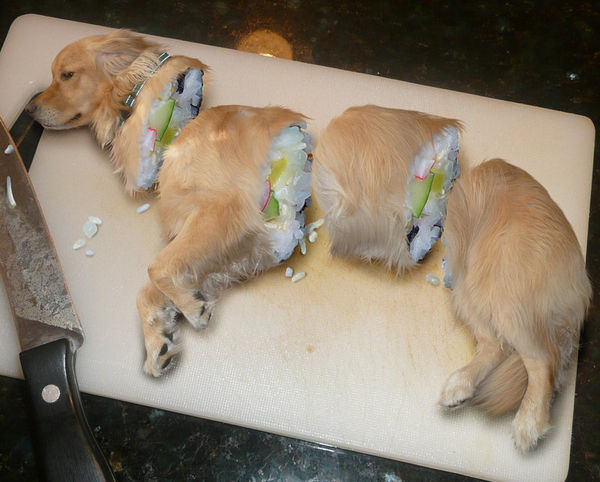 IMAGE(http://loyalkng.com/wp-content/uploads/2009/02/fake-dog-sushi.jpg)