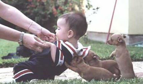 an-extra-push-puppies an extra push puppies Puppies Give the Little Baby a Push. Just an Extra Support!