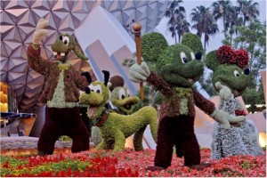 epcot fg 300x200 epcot fg
