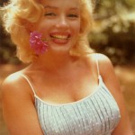 marilyn-monroe marilyn monroe 150x150 Marilyn Monroe (Norma Jean) the Myth, the Beauty, the Legend. Shell Always be Alive in Our Hearts.