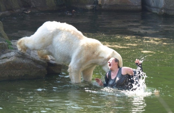 attacked by bear. woman-attacked-by-polar-ear-