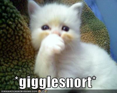 i snort catty ISnort App For IPhone; The Manly Alternative To Drugs. Do Cocaine on Iphone!