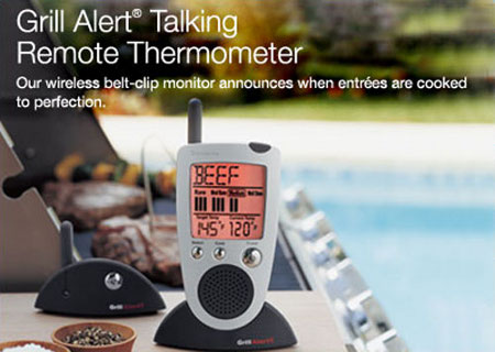 talking thermo Grill Alert Talking Remote Thermometer. Cook That Meat Ripe!