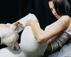 dogs sniffing celebrities 14 300x241 dogs sniffing celebrities 14