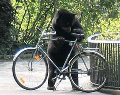 bear-stealing-bike.jpg