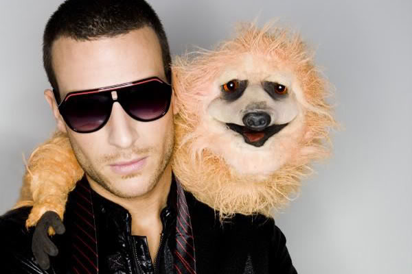 don diablo 99 fences