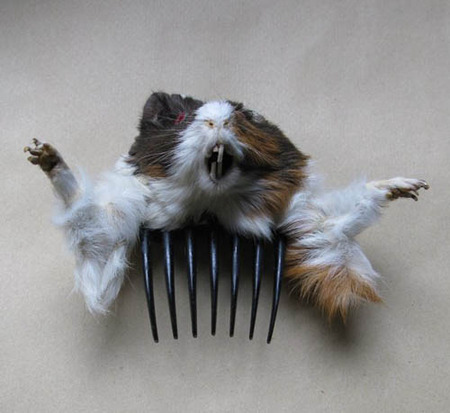 Guinea Pig Comb