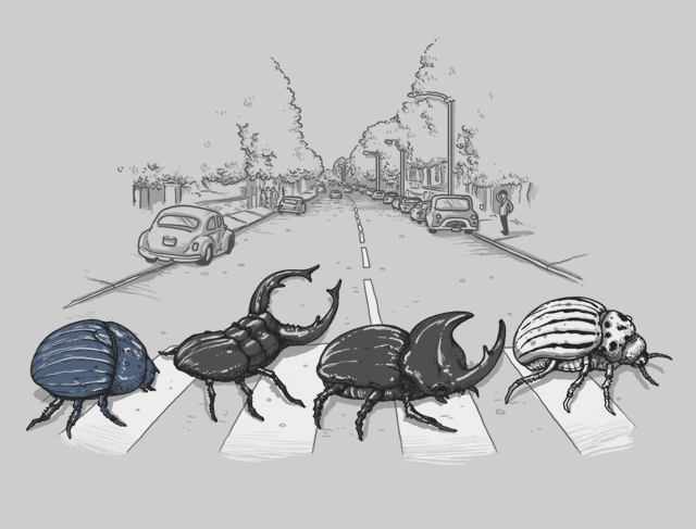 the-beetles-beatles-t-shirt-alex-solis-threadless-art.gif