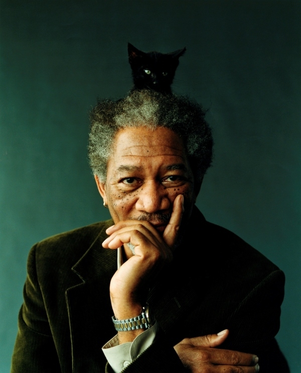 I never knew Morgan Freeman was such a cat person, he's even gone off and 