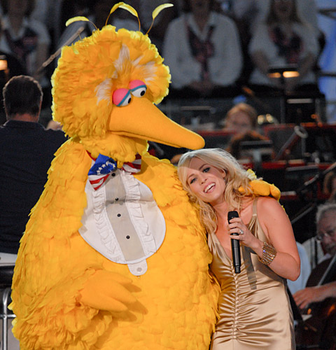 What if Anything Is Sesame Streets Big Bird by Mike Dickison Christchurch 8 natasha What, if Anything, Is Sesame Streets Big Bird? by Mike Dickison @ Christchurch #8!