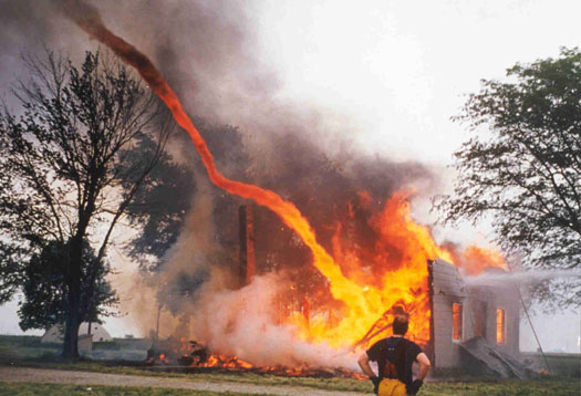 FireTornado Fire Bird Tornado Burns & Destroys Wild Life & Praries! Flame & Tornado Are Never A Good Mix.