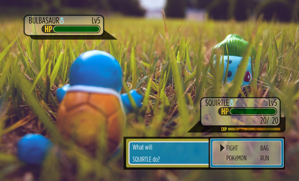 Real Life Pokemon na Vida Real by La Fênix lafenixvideos Squirtle   Real Life Pokemon na Vida Real by La Fênix (lafenixvideos)! Featuring a Real Squirtle!