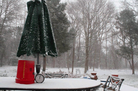 December 2010 Blizzard Timelapse by Michael Black! 20 Hour Timelapse in ...