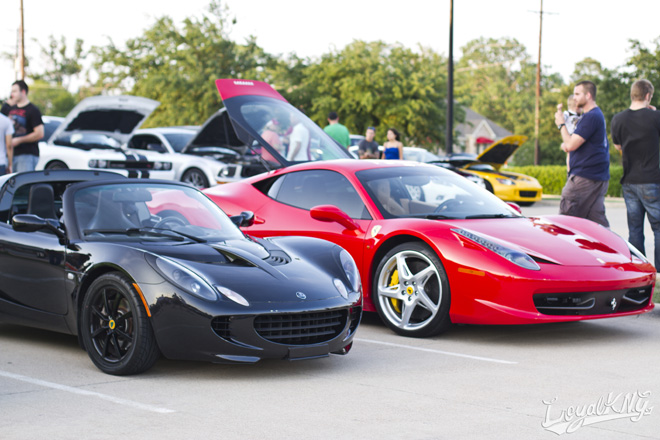 Texas Import Today Loyalkng_1912