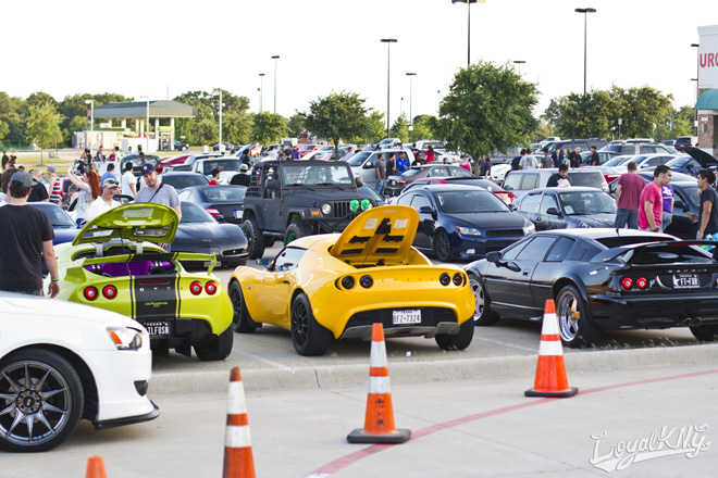 Texas Import Today Loyalkng_238